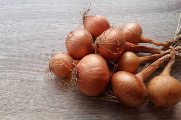 Mega каталог mega ssylka onion com