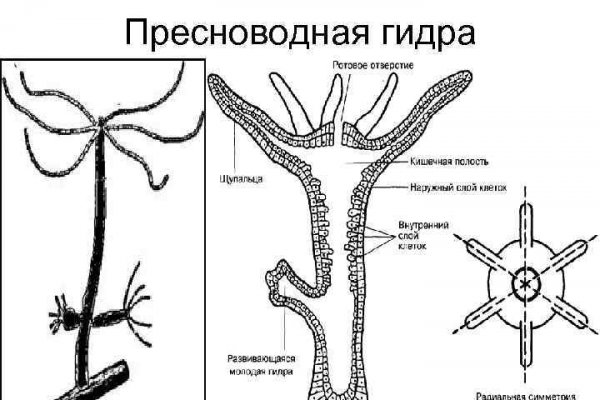 Omg сайт даркнет отзывы