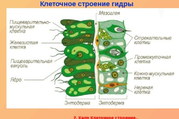 Кракен оф сайт kraken6.at kraken7.at kraken8.at